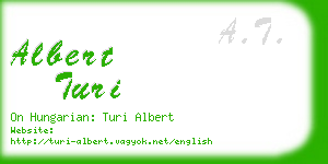 albert turi business card